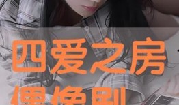 房爱在线观看,一场跨越时空的浪漫邂逅