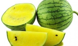 吃瓜网红视角图片素材,揭秘网红视角下的美食诱惑