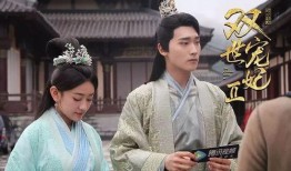 双式宠妃在线观看,穿越时空的甜蜜邂逅